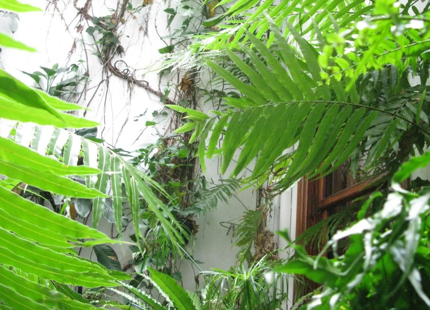 Apartamentos La Fuente Santa Cruz de la Palma  Appartamento